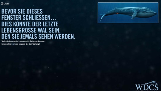 Blauwal